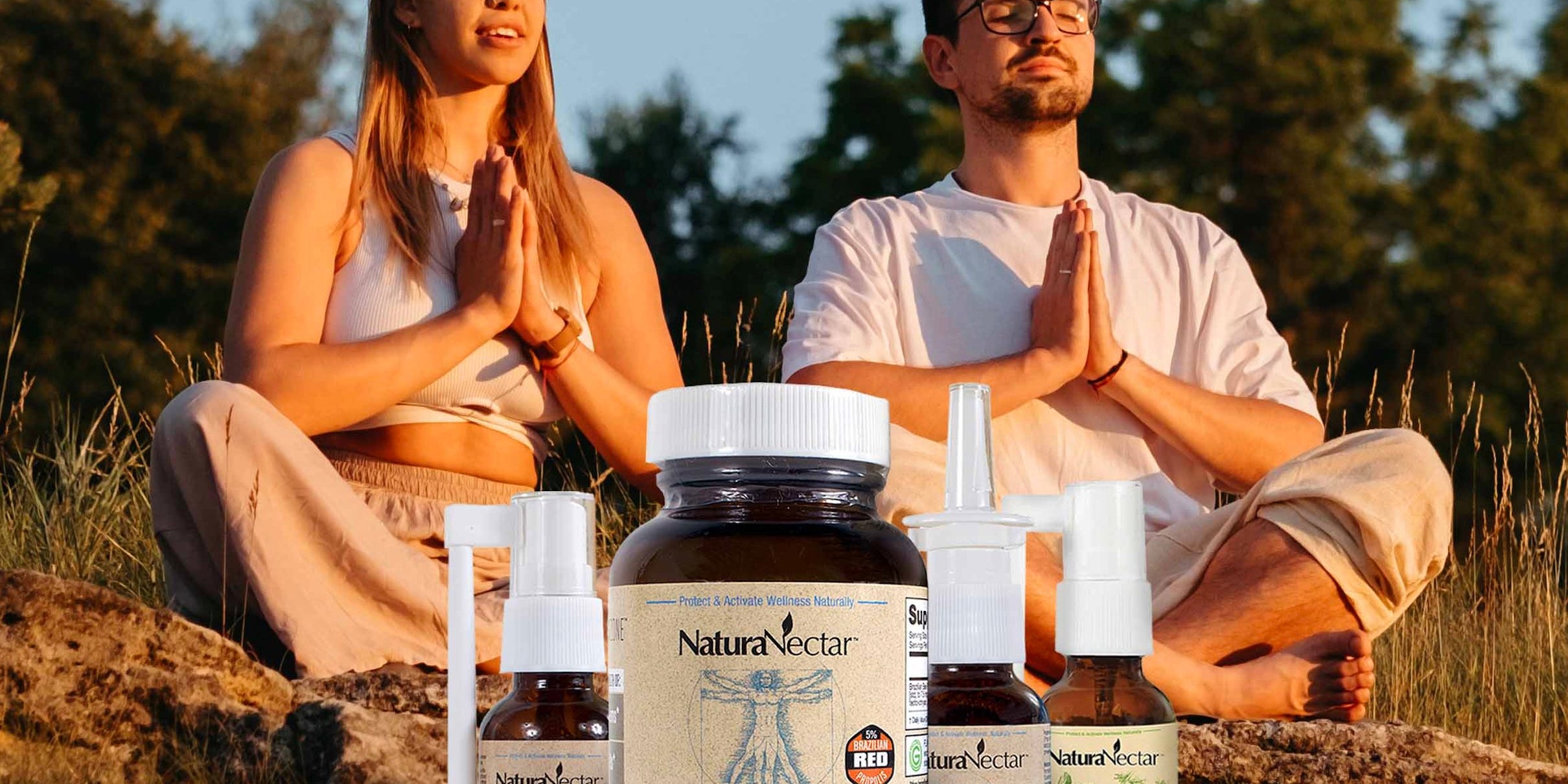 Functional Propolis