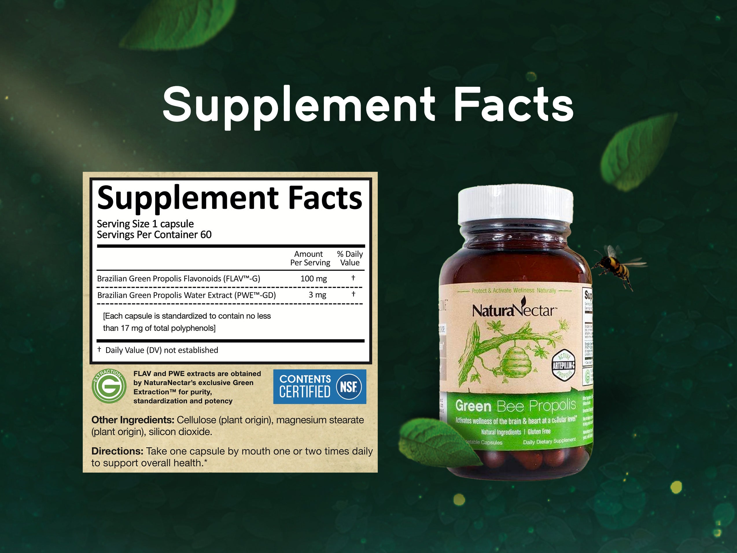 Green Bee Propolis - Nootropic product supports wellness of your brain* & immune system health* through health-promoting polyphenols like Artepillin-C  - Pack of 3