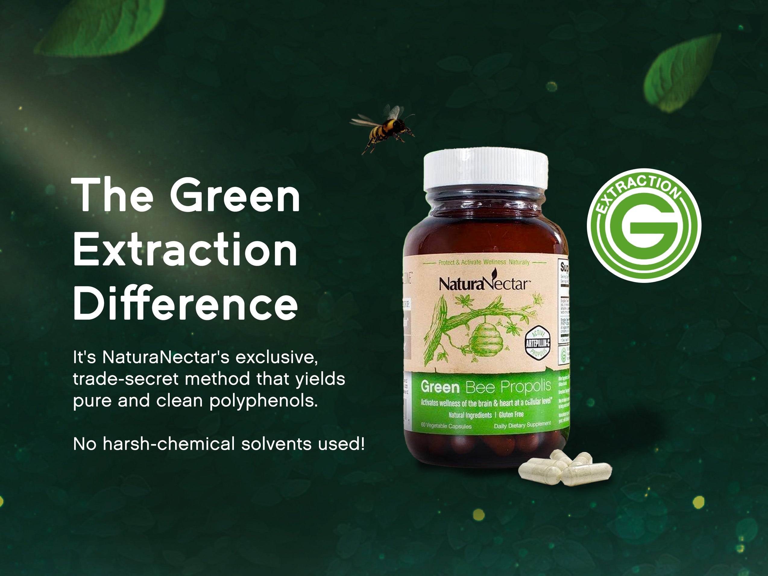 A HARSH-CHEMICAL FREE PROPOLIS EXTRACTION PROCESS