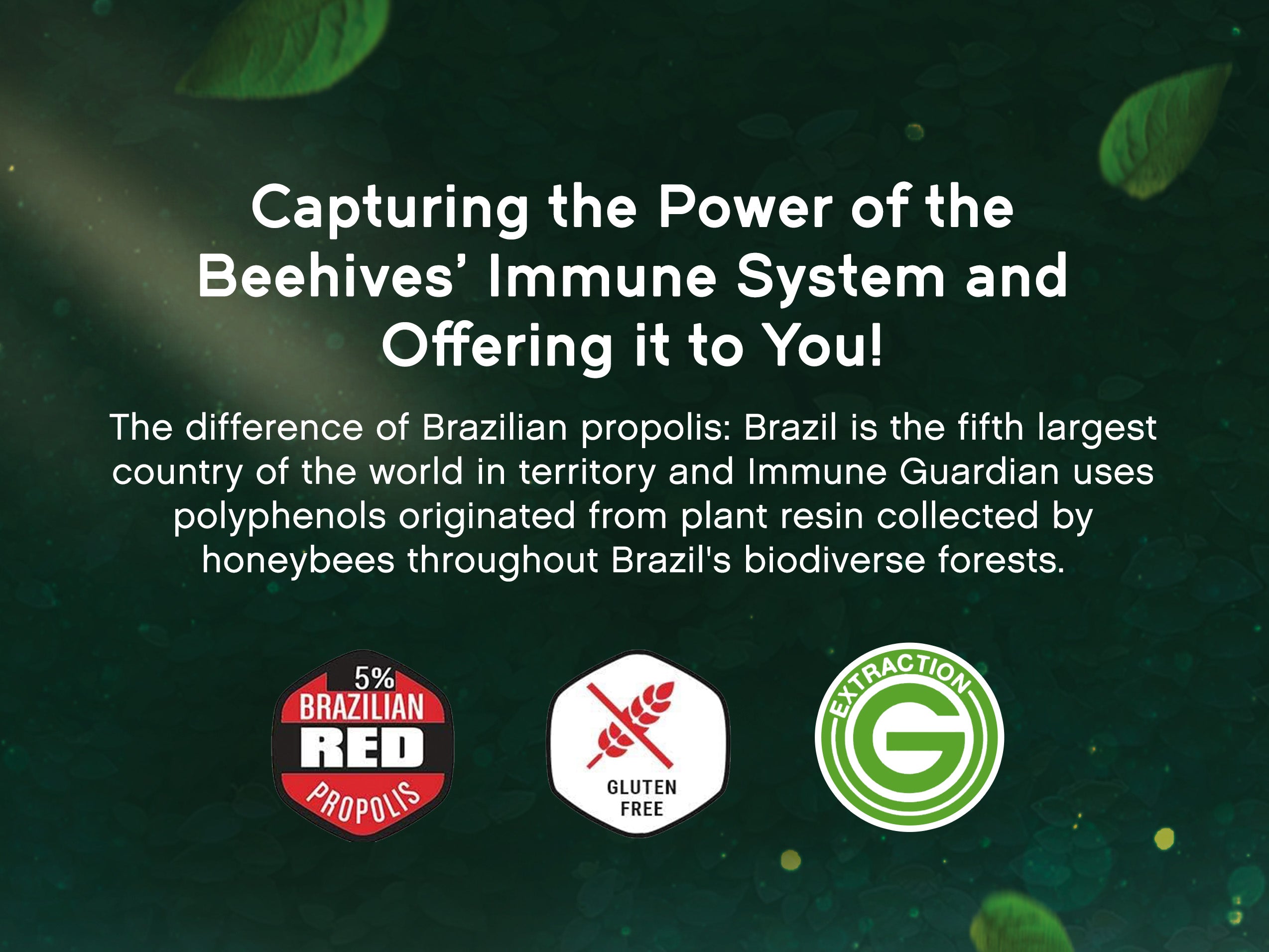 Immune Guardian – Your high dose of bee propolis to support your immune system* every day and at onset