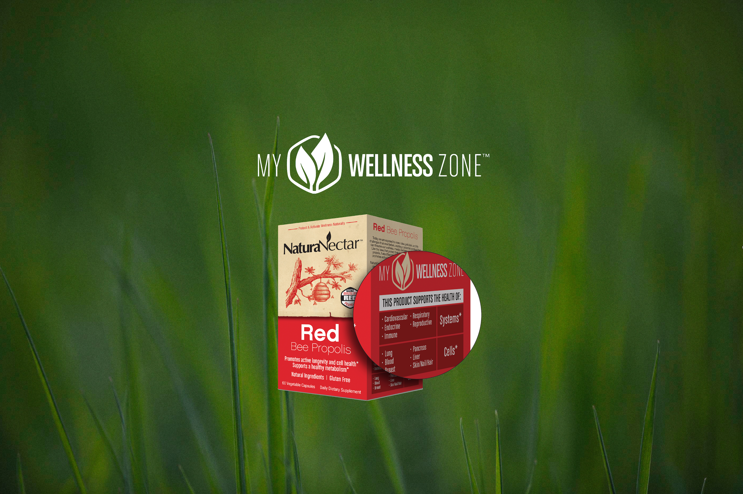 My_WellnessZone_Banner_8b9fe3f1-29c2-4a03-9943-2541f04fdc29.png