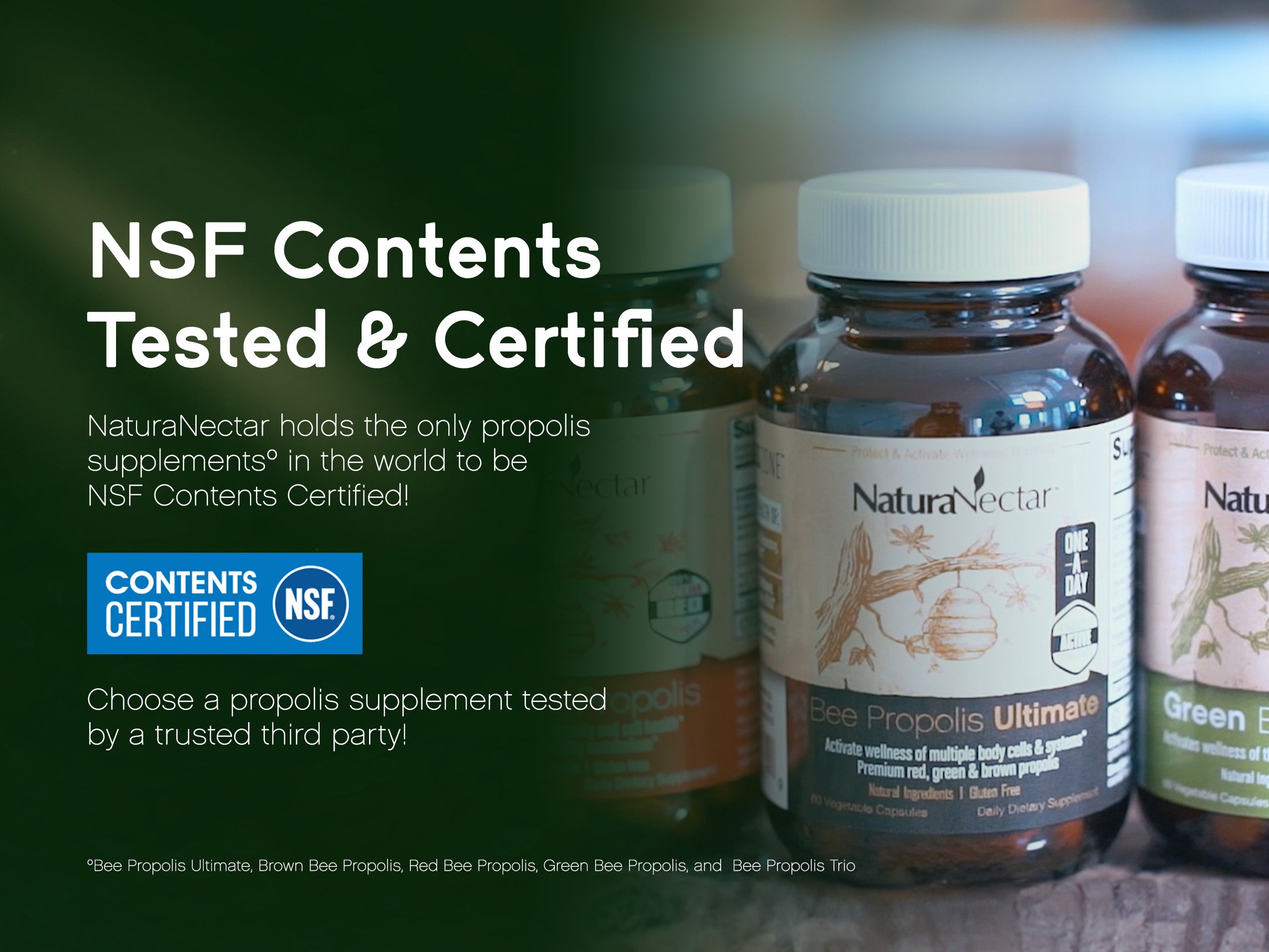 ANSI 173 CERTIFIED SUPPLEMENTS?​