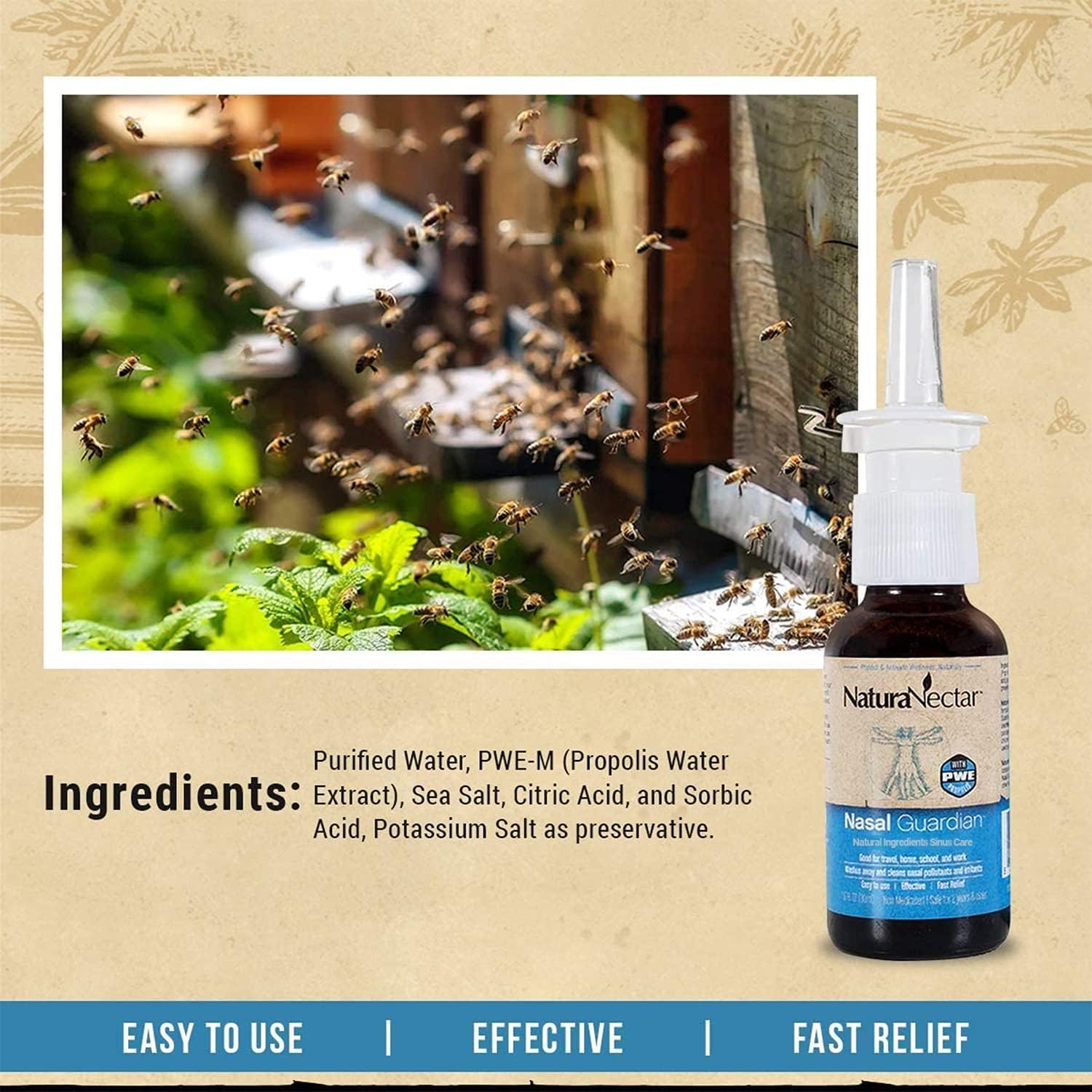 Multi-Propolis Nasal Spray, Alcohol & Propylene Glycol Free, For 2 Years Old & Older, 1 fl oz (30mL)  | Pack of 3