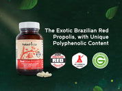 Red Bee Propolis - Supports your metabolism*, longevity & cell health* through unique polyphenols and antioxidants from our own bee farms in Brazil |  Pack of 3