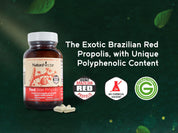 Red Bee Propolis, NSF Contents Certified, 60 Capsules |  Pack of 3