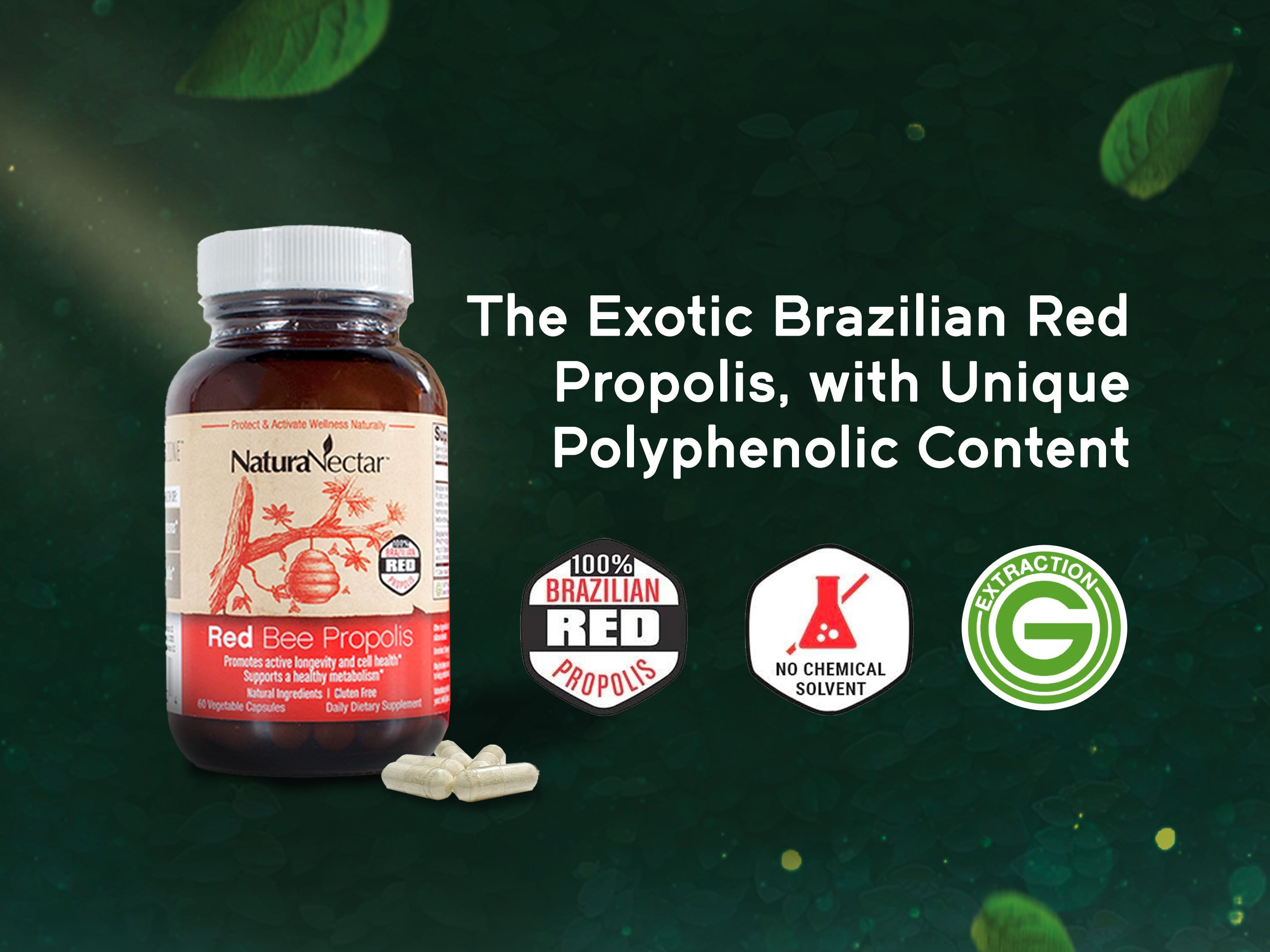 Red Bee Propolis, 60 Veggie Capsules | NSF Contents Certified | Authentic and Exclusive | From Our Own Bee Farms in Brazil
