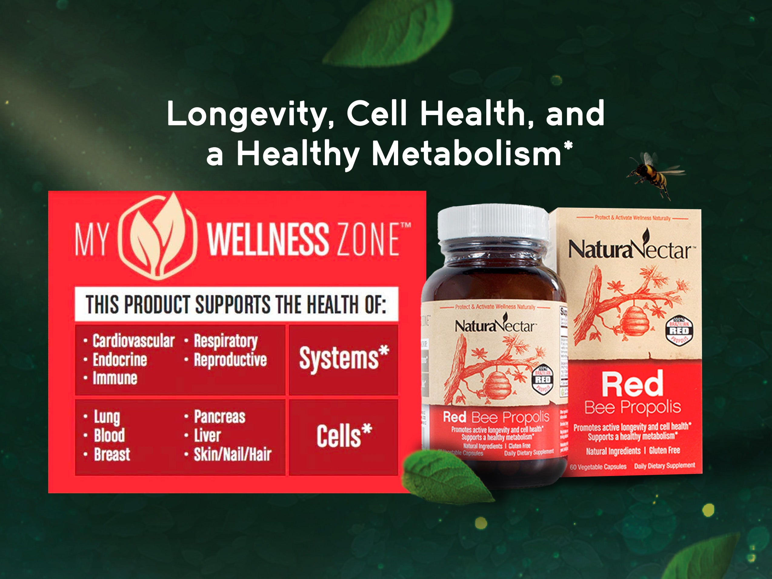 Red Bee Propolis - Supports your metabolism*, longevity & cell health* through unique polyphenols and antioxidants from our own bee farms in Brazil