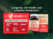 Red Bee Propolis - Supports your metabolism*, longevity & cell health* through exclusive polyphenols and antioxidants from our own bee farms in Brazil |  Pack of 3