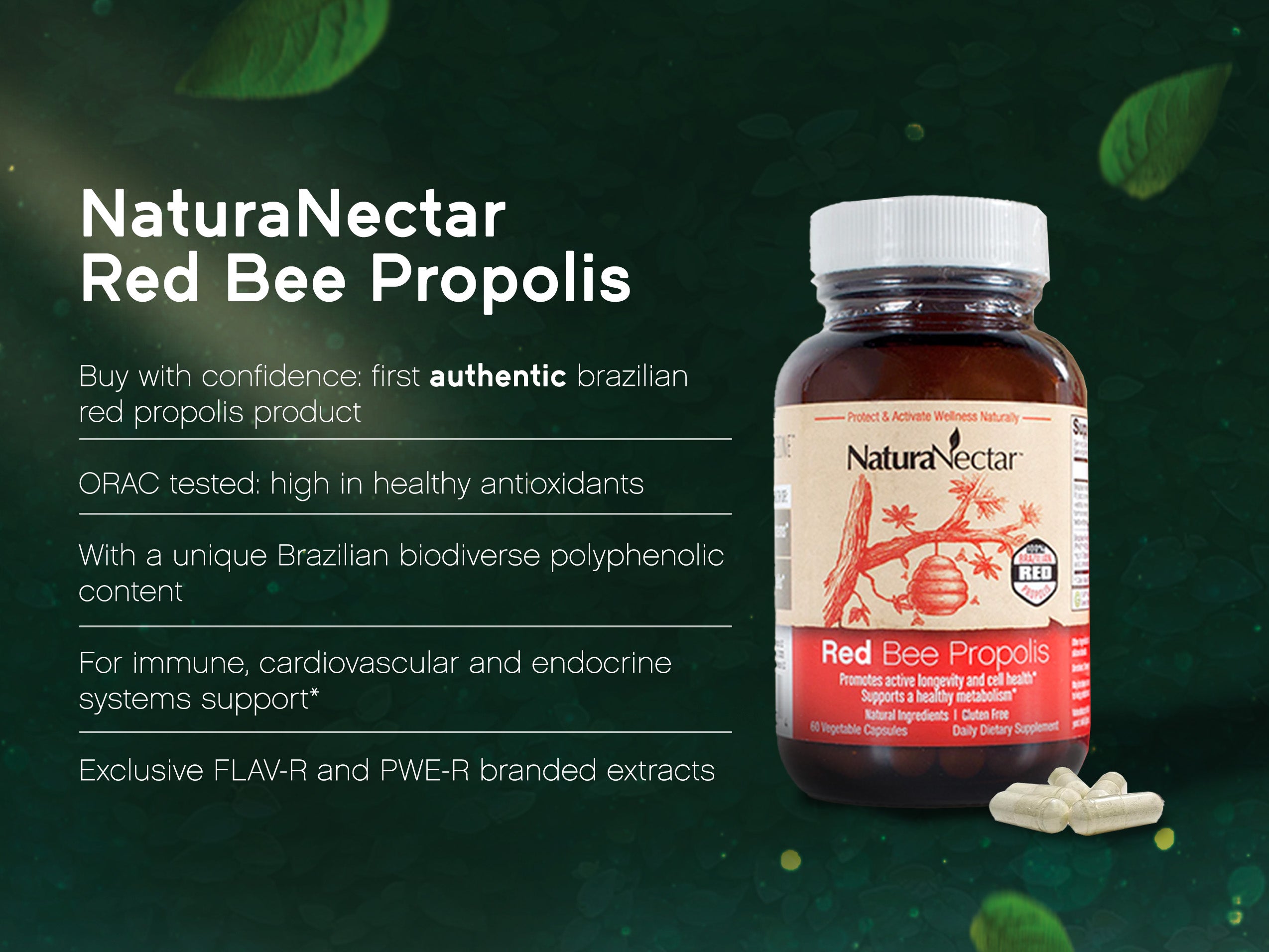 Red Bee Propolis, 60 Veggie Capsules  BUNDLE | NSF Contents Certified | Authentic and Exclusive | From Our Own Bee Farms in Brazil |  Pack of 3
