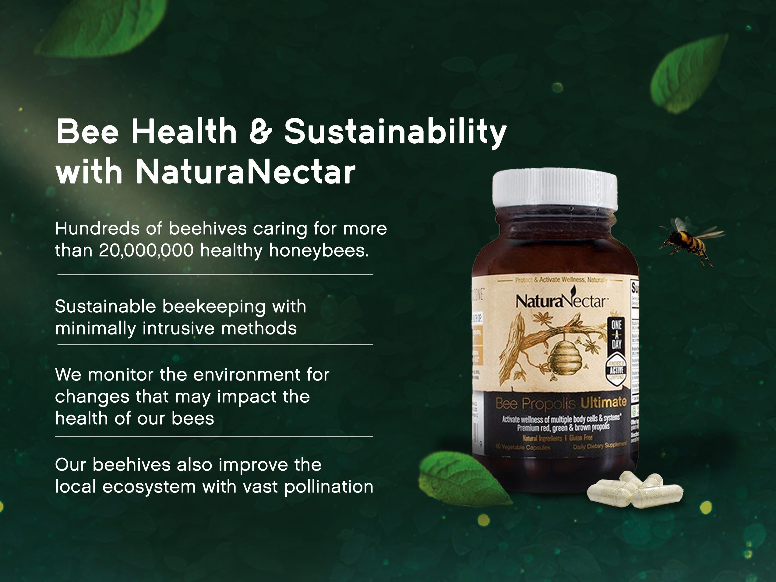 THE BEST FOR YOU, OUR BEES AND THE PLANET