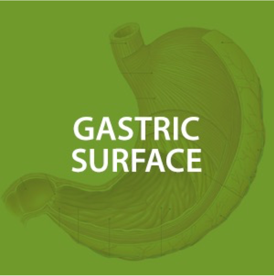 Gastric Surface Health*