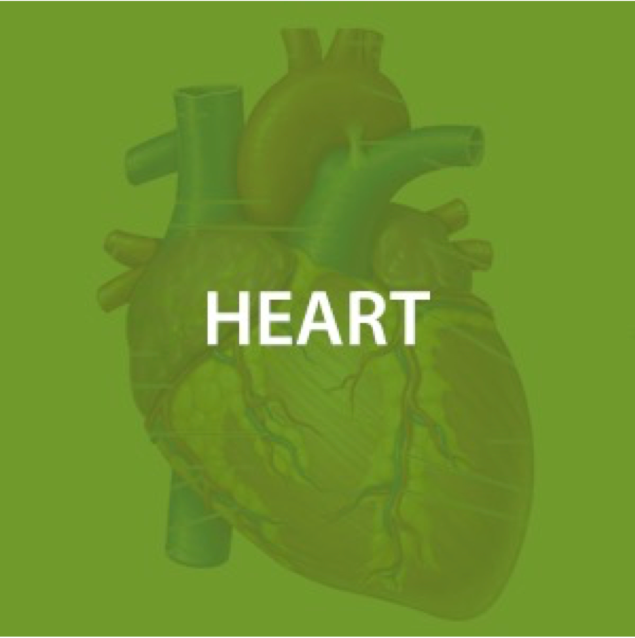 Heart Health*