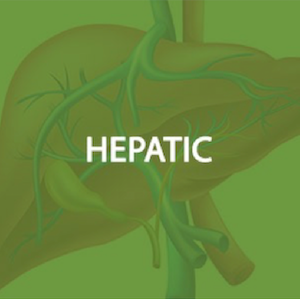Hepatic Health*