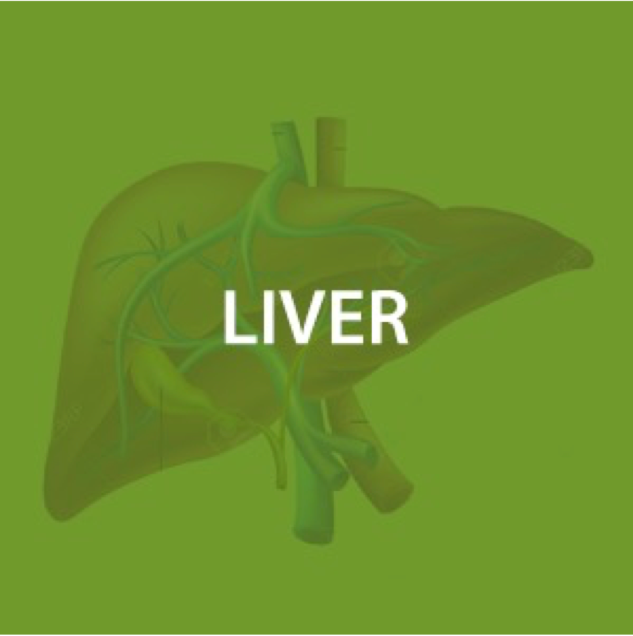 Liver Health*