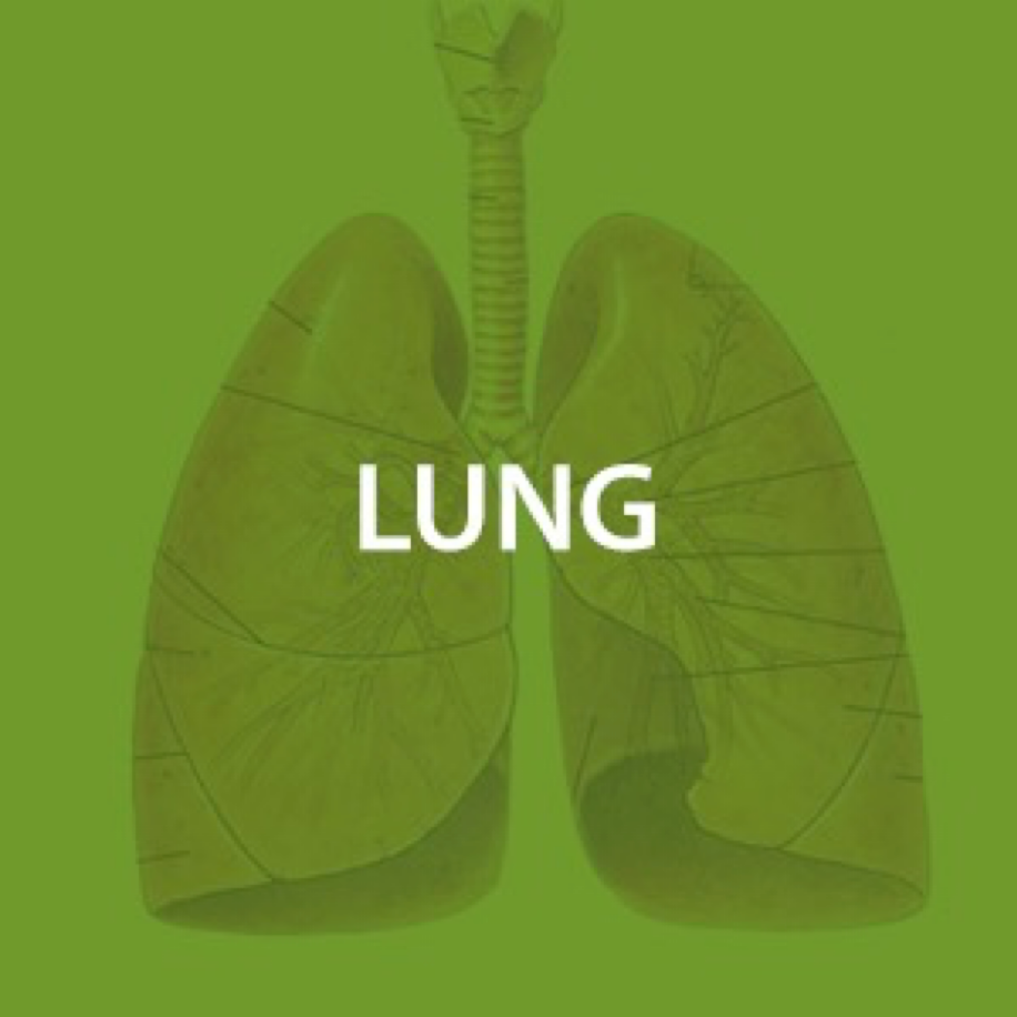 Lung Health*