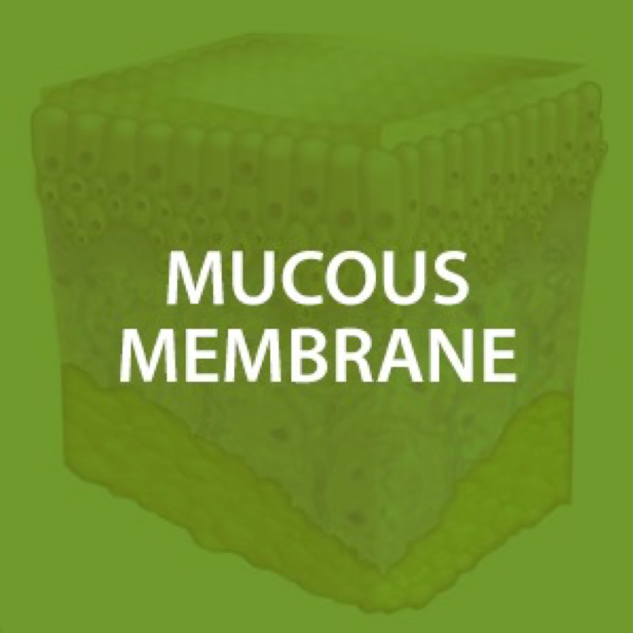 Mucous Membrane Health*