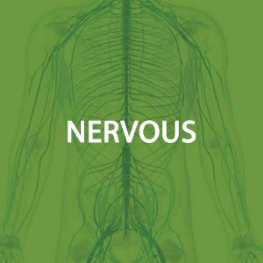 Nervous System Health*