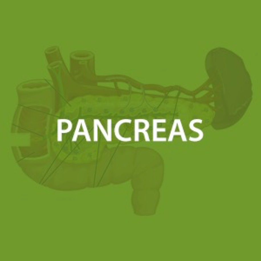 Pancreas Health*