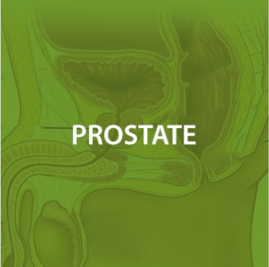 Prostate Health*