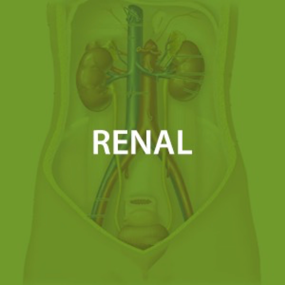 Renal Health*