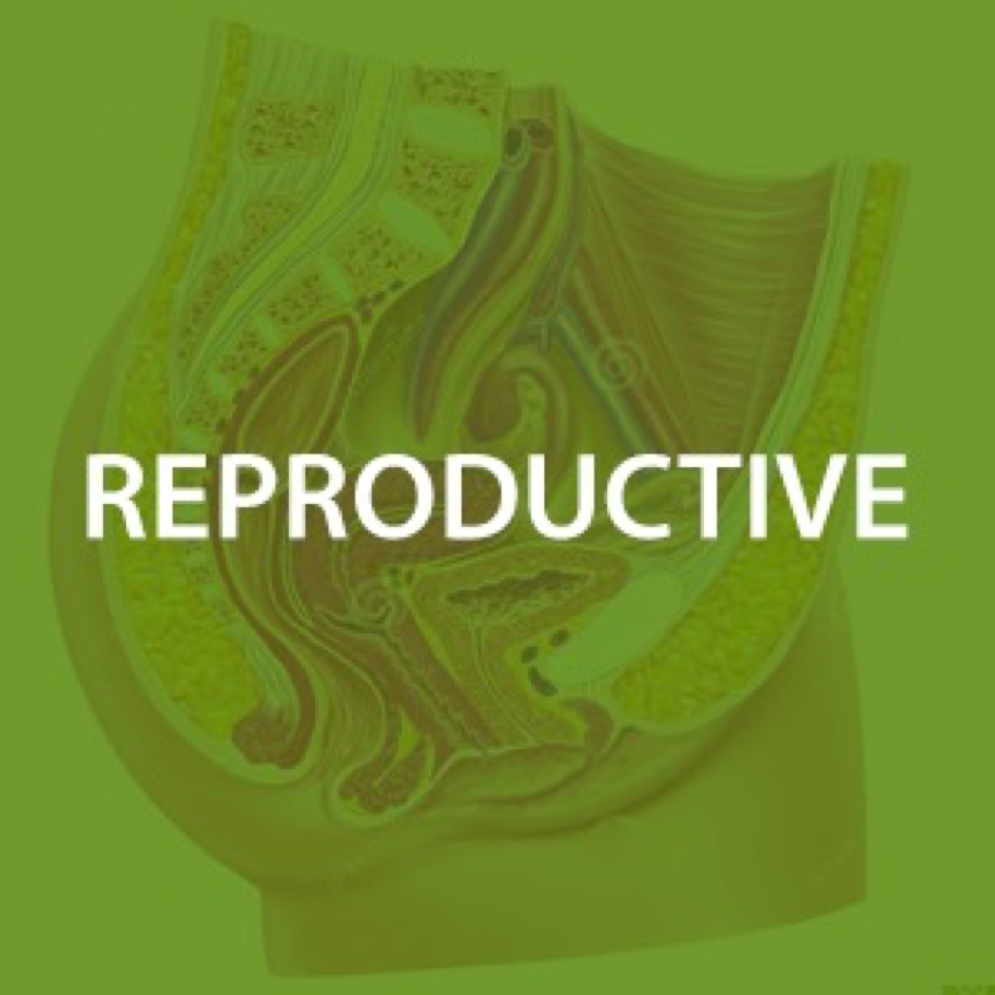 Reproductive Health*