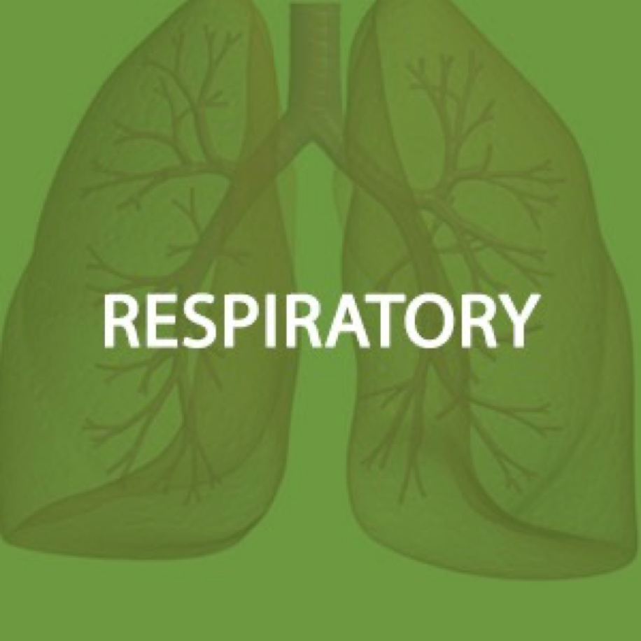 Respiratory Health*