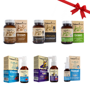 Holiday Propolis Starter Bundle