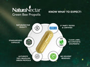 Green Bee Propolis, NSF Contents Certified, 60 Capsules | Pack of 3