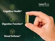Green Bee Propolis, NSF Contents Certified, 60 Capsules | Pack of 3