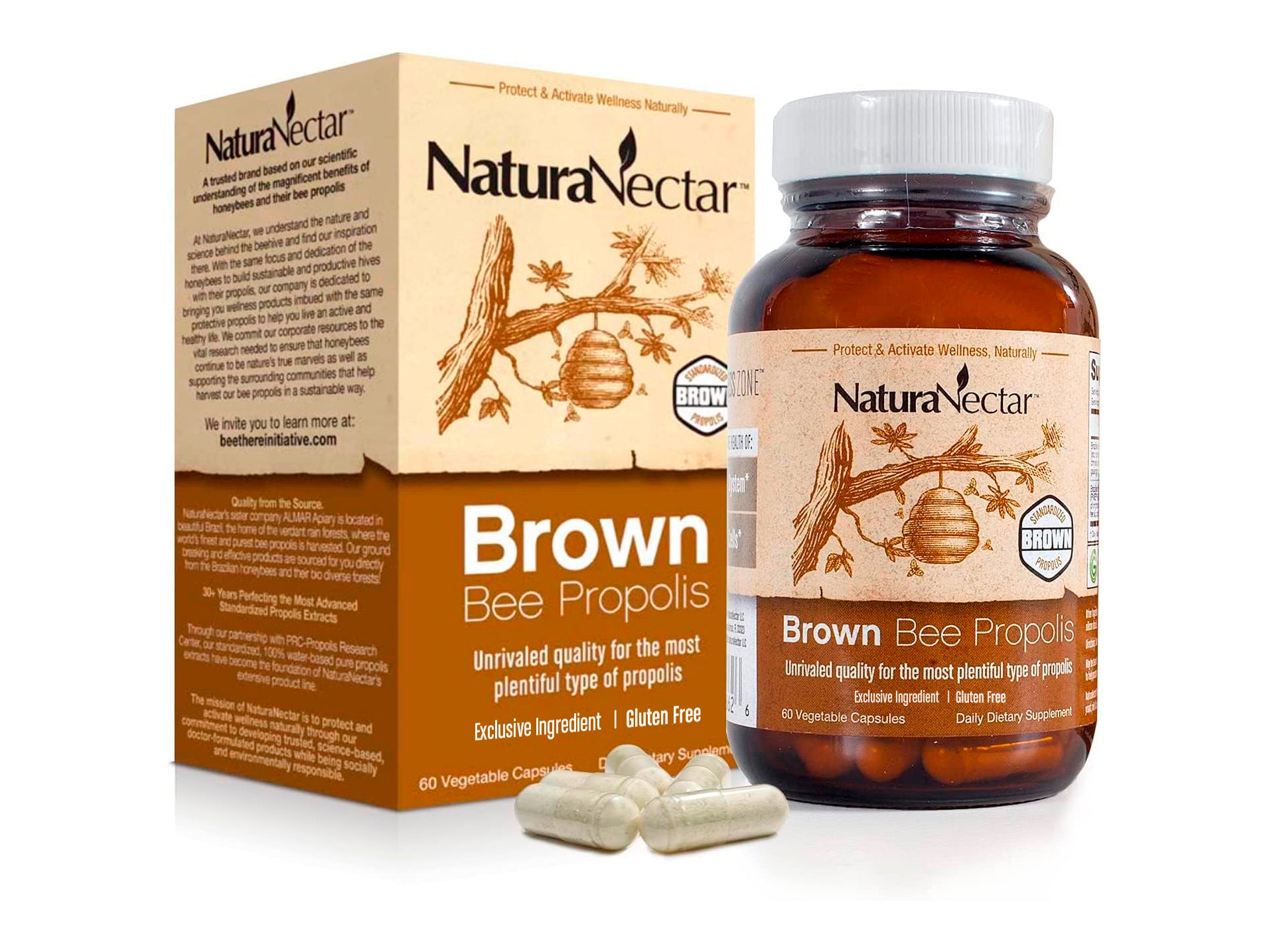 Brown1.jpg