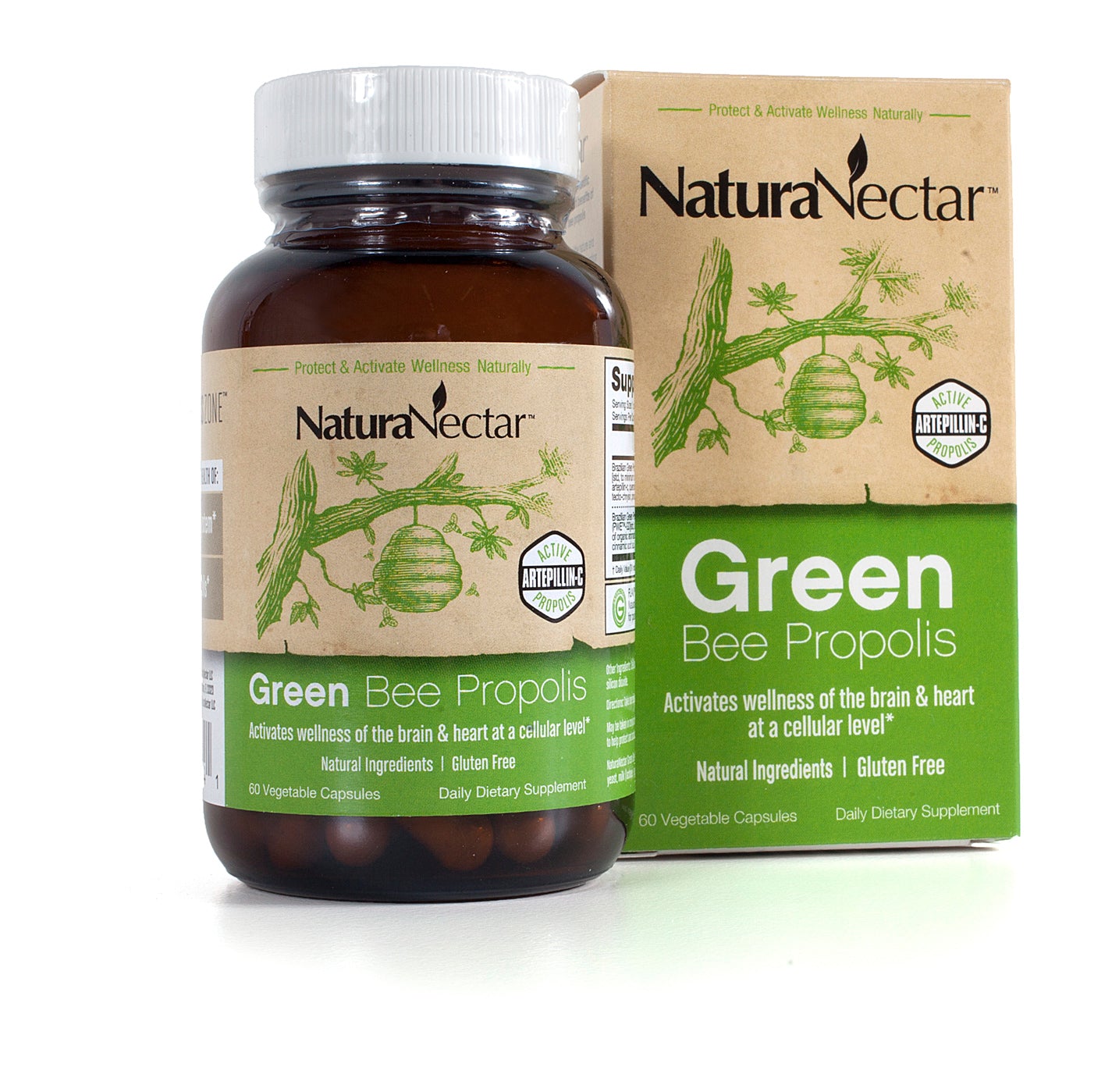 Green Bee Propolis - Nootropic product supports wellness of your brain* & immune system health* through exclusive polyphenols like Artepillin-C