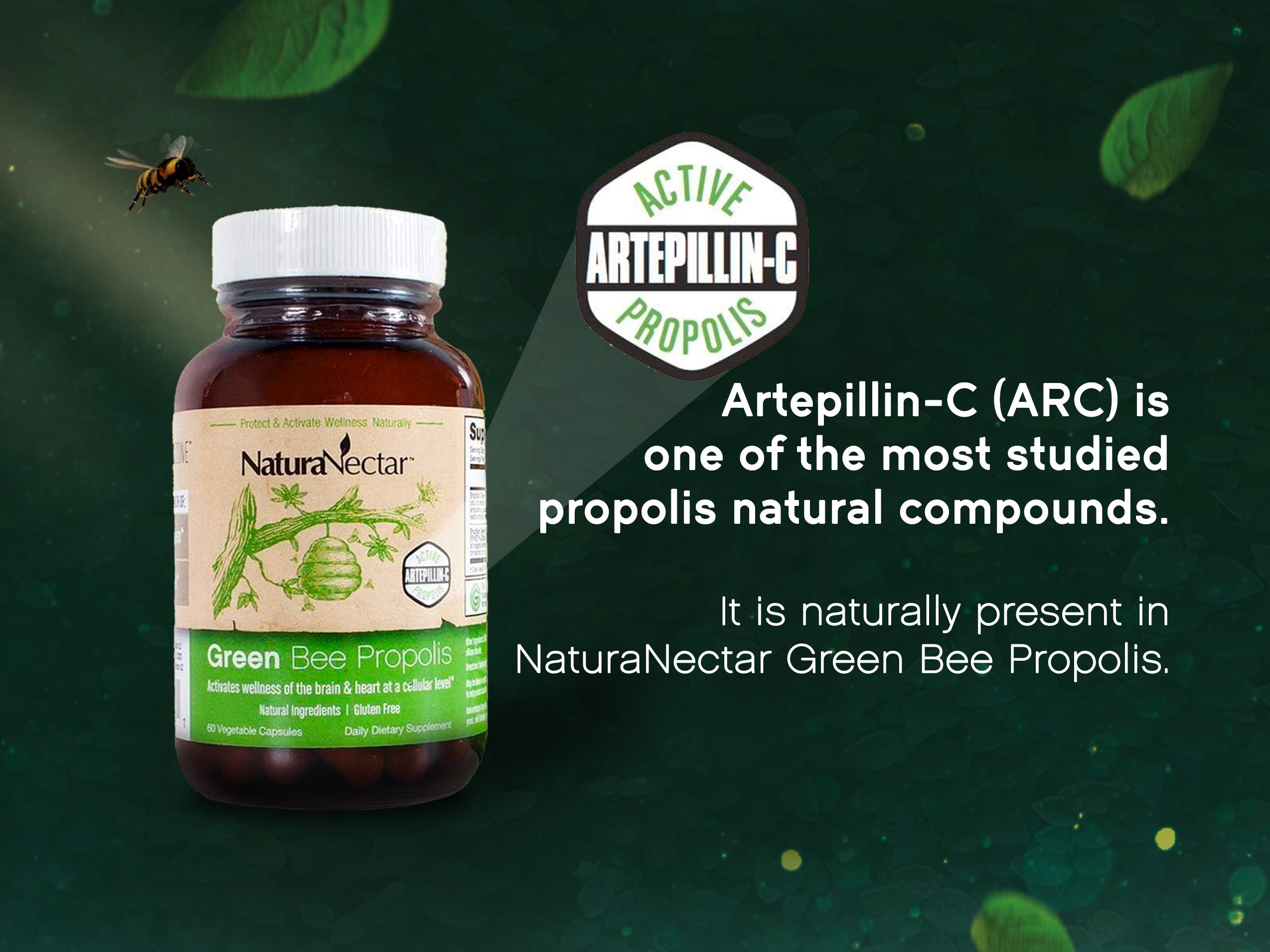 Green Bee Propolis, 60 Veggie Capsule | NSF Contents Certified | with Artepillin-C from Brazilian Ultra-Green Propolis