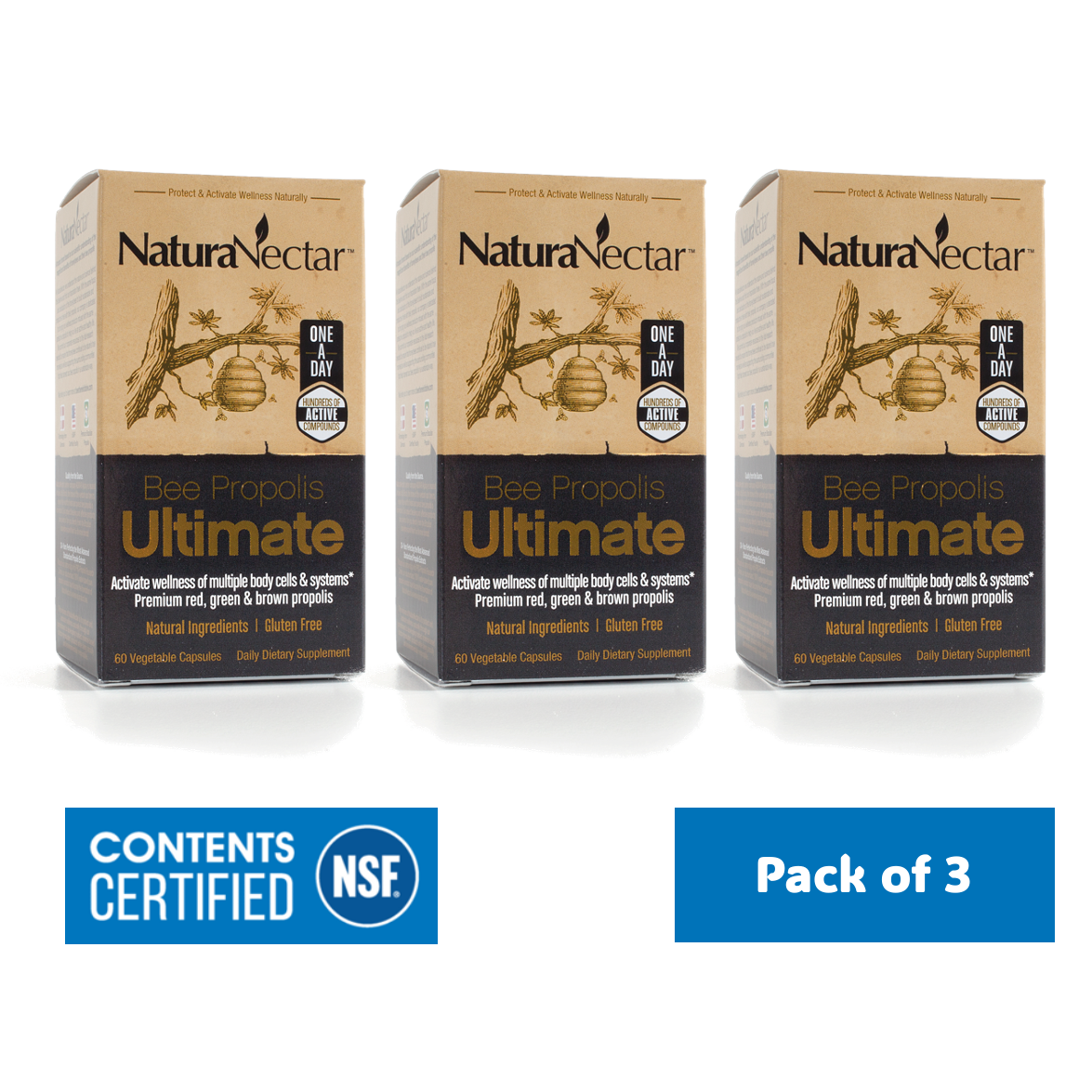 UltimateBottle_CartonBUNDLE_b0709190-06d7-4ada-bb6d-da591d350eb8.png