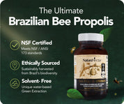 Bee Propolis Ultimate, NSF Contents Certified, 60 capsules