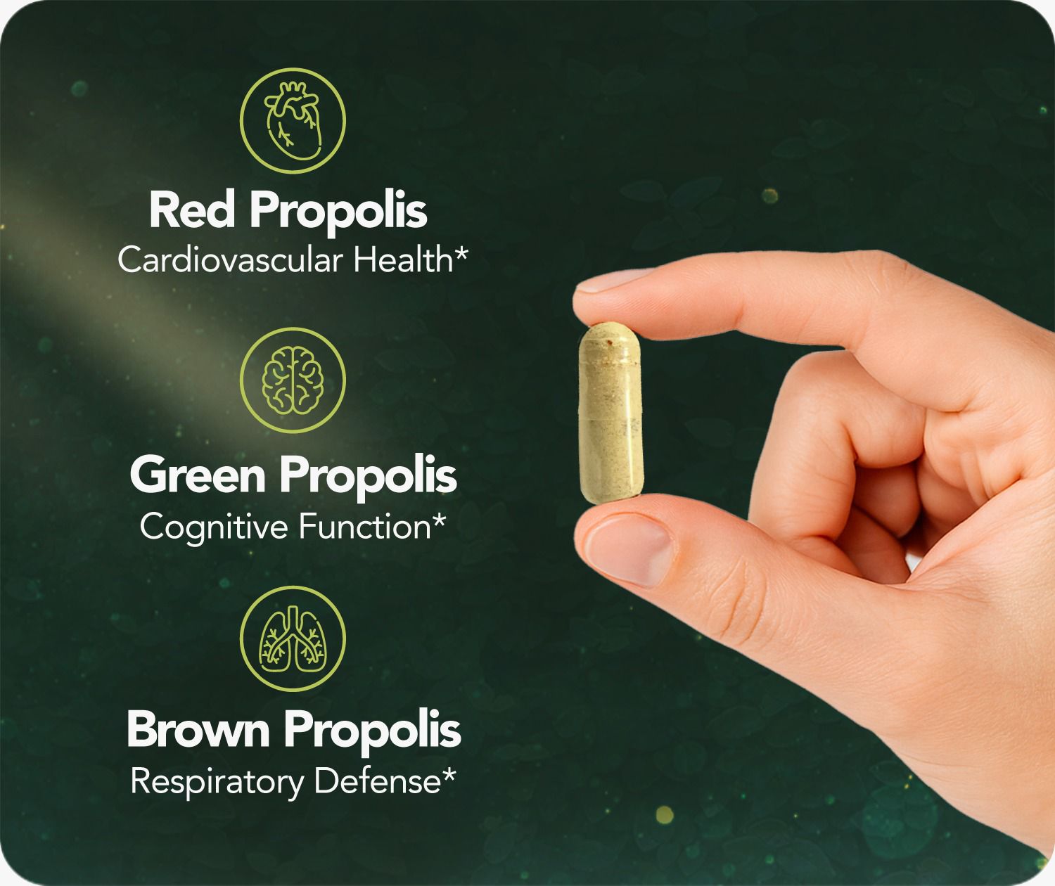 Bee Propolis Ultimate, NSF Contents Certified, 60 capsules