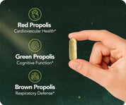 Bee Propolis Ultimate, NSF Contents Certified, 60 capsules
