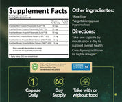 Bee Propolis Ultimate, NSF Contents Certified, 60 capsules