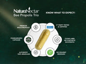 Bee Propolis Trio, NSF Contents Certified, 60 Capusles