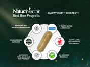 Red Bee Propolis, NSF Contents Certified, 60 Capsules