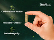 Red Bee Propolis, NSF Contents Certified, 60 Capsules